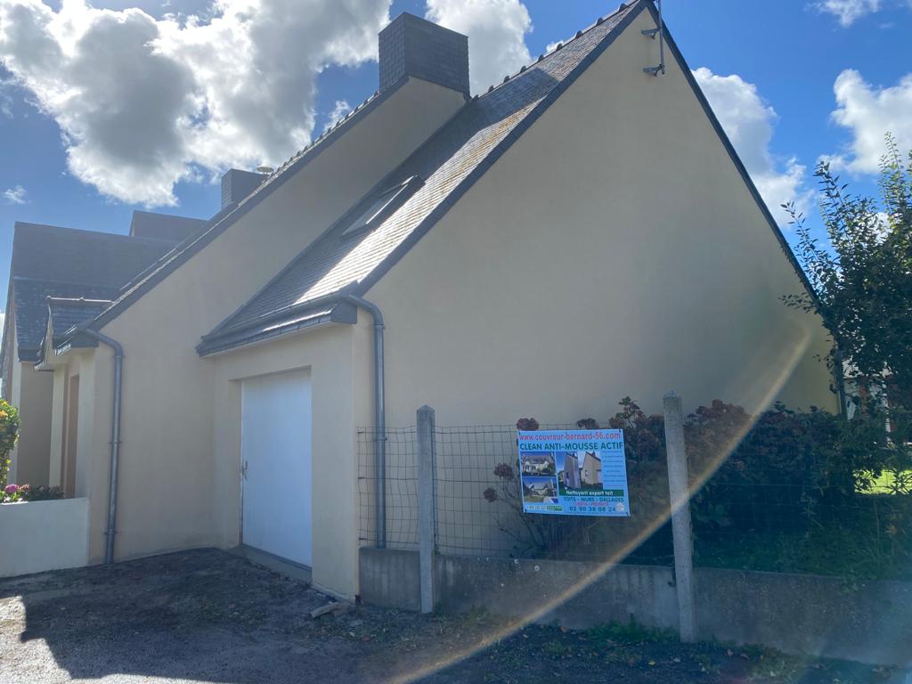 Nettoyage et démoussage de toiture en cours